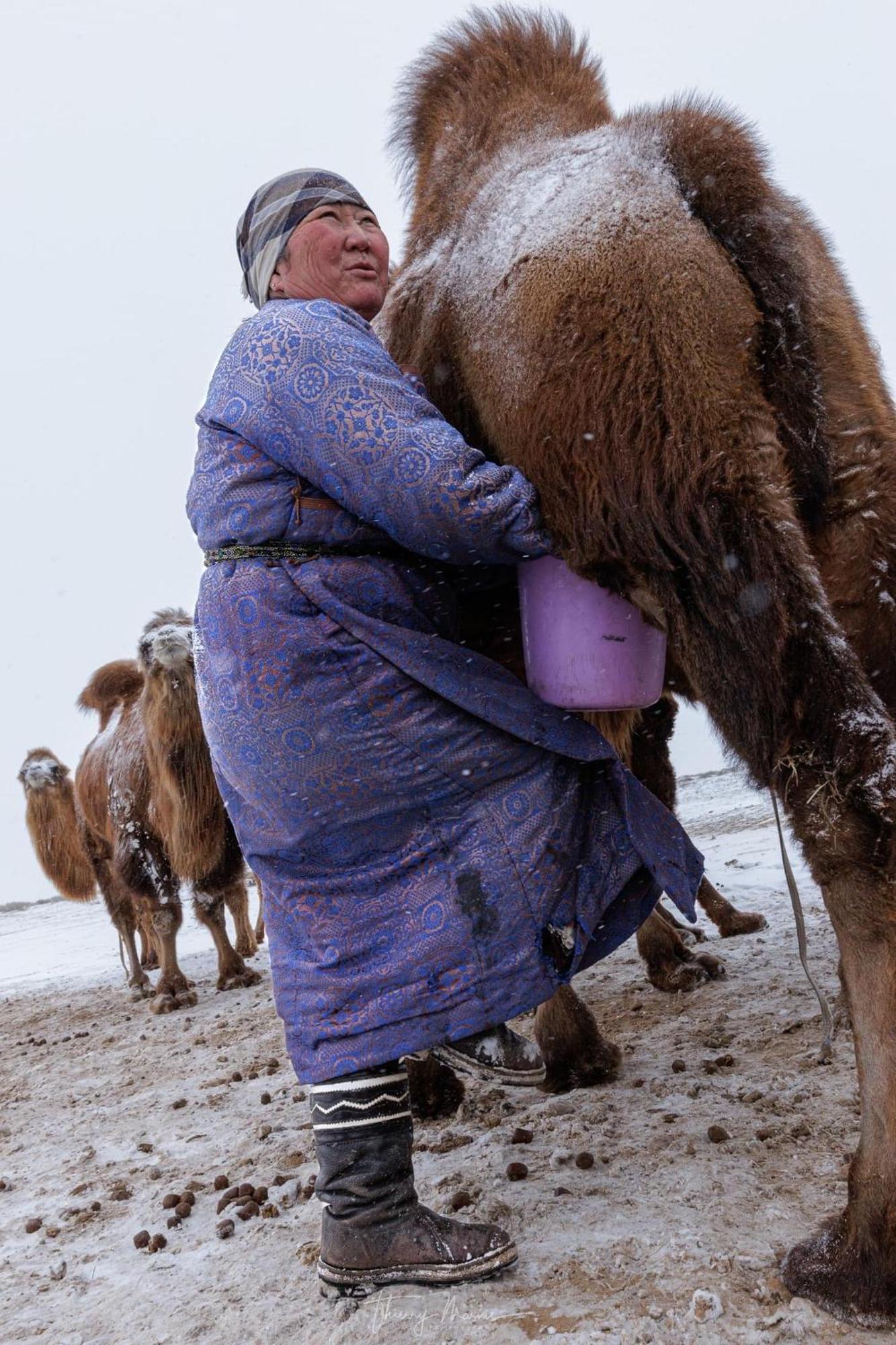 Hotel Gobi-Girl Ulánbátar Exteriér fotografie